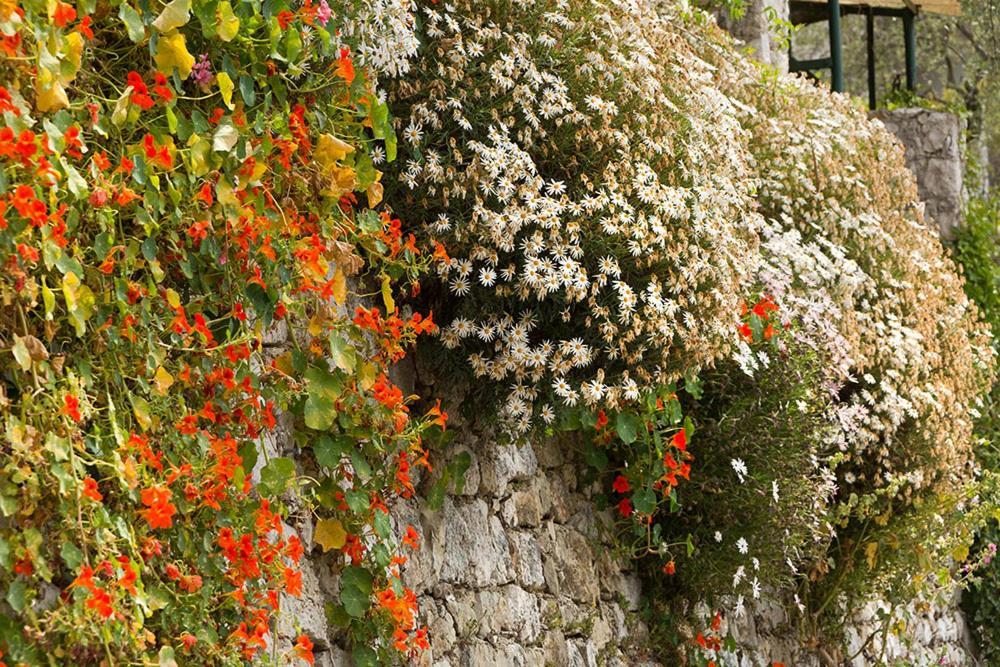Mas Thomasine Séjour Romantique au calme Peillon Extérieur photo